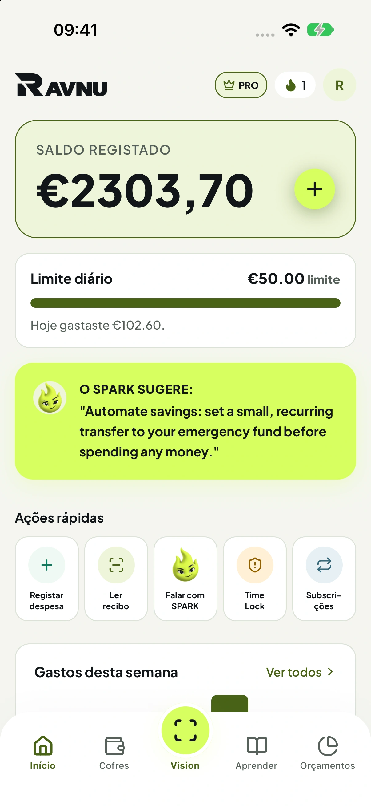 Painel da Ravnu em tema claro com os movimentos do mês